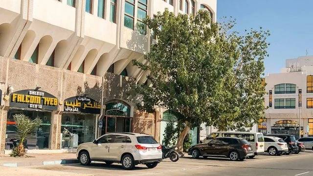 Al Salam Street(Abu Dhabi)